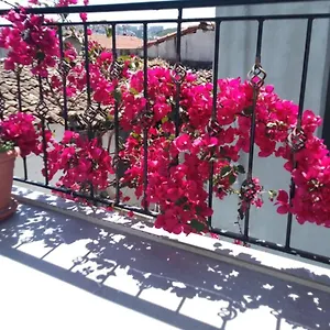 Casa Magnolia Boutique Hotel Kuşadası